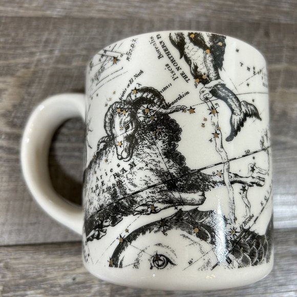 Anthropologie x Salt and Earth ARIES Coffee Mug Horoscope Zodiac Astrology Ram - Picture 6 of 9